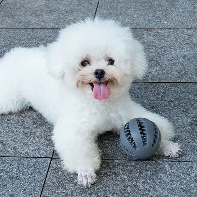 遊び犬用玩具 インタラクティブな歯磨きと漏れ食品の配給のためのシリコンボール