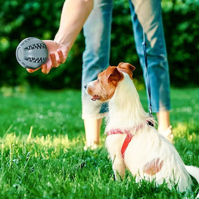 遊び犬用玩具 インタラクティブな歯磨きと漏れ食品の配給のためのシリコンボール