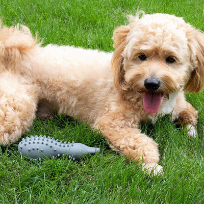 耐久性のある犬の噛むおもちゃ 攻撃的な噛む人 安全な耐久性のあるシリコン素材