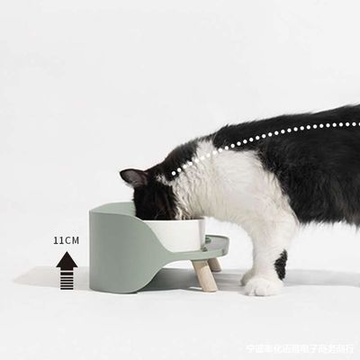NO 時間設定 猫や犬のための高層セラミックペットボウル オーダーメイドポルセラン飼料