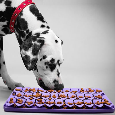 食品グレード シリコン スローフィッダーマット 固形 パッド 犬や猫の嗅覚 噛むパッド